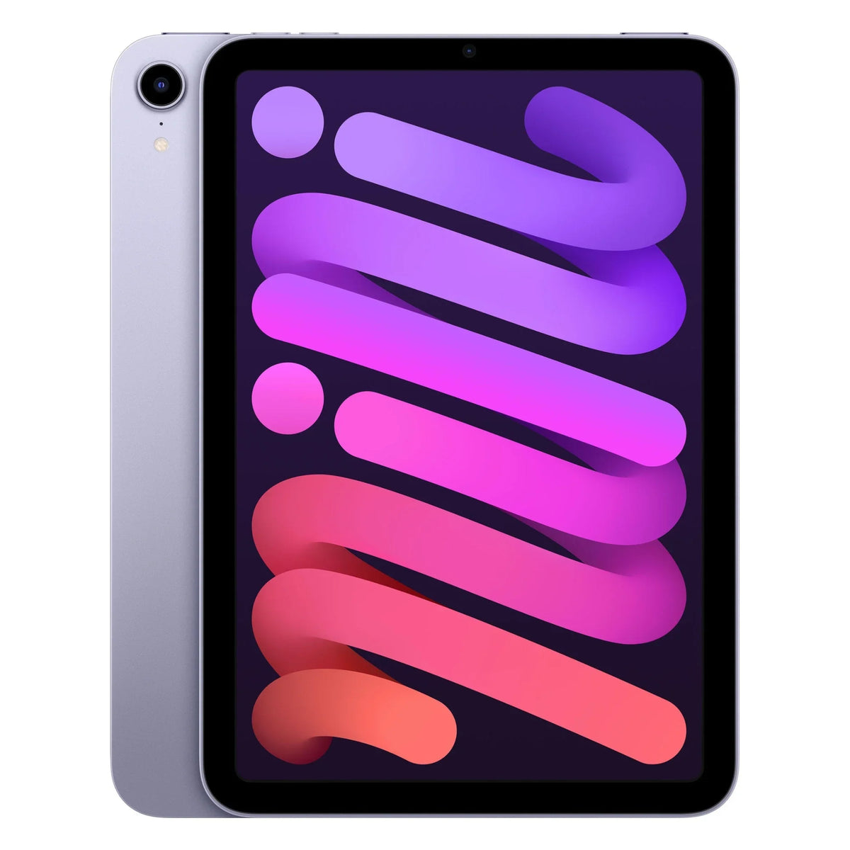 iPad Mini (2021) cases